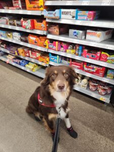 Public Access Certification Test