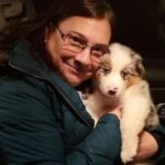 Australian Shepherd showing calm and connection with owner