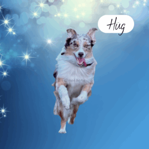Hug - 1 year old