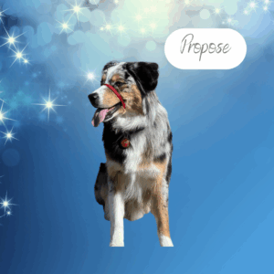 Propose - 1 year old