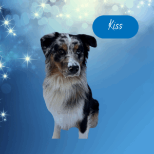 Kiss -1 year old