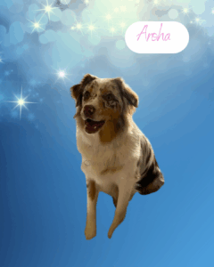 Aroha - 1 year old