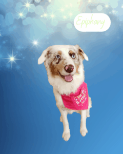 Epiphany - 1 year old