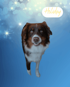 Holiday - 1 year old