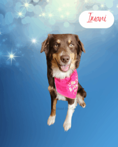 Imani - 1 year old