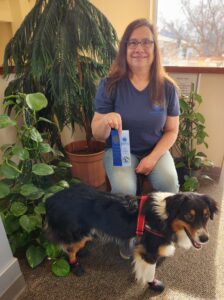 Australian Shepherd Service Dogs in Training in Wisconsin