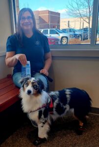 Australian Shepherd Service Dogs in Training in Wisconsin