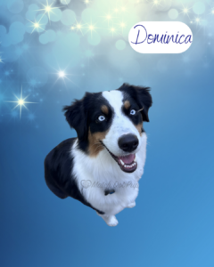 Dominica - 1 year old