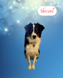 Vincent - 1 year old